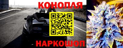 шишки Балашиха