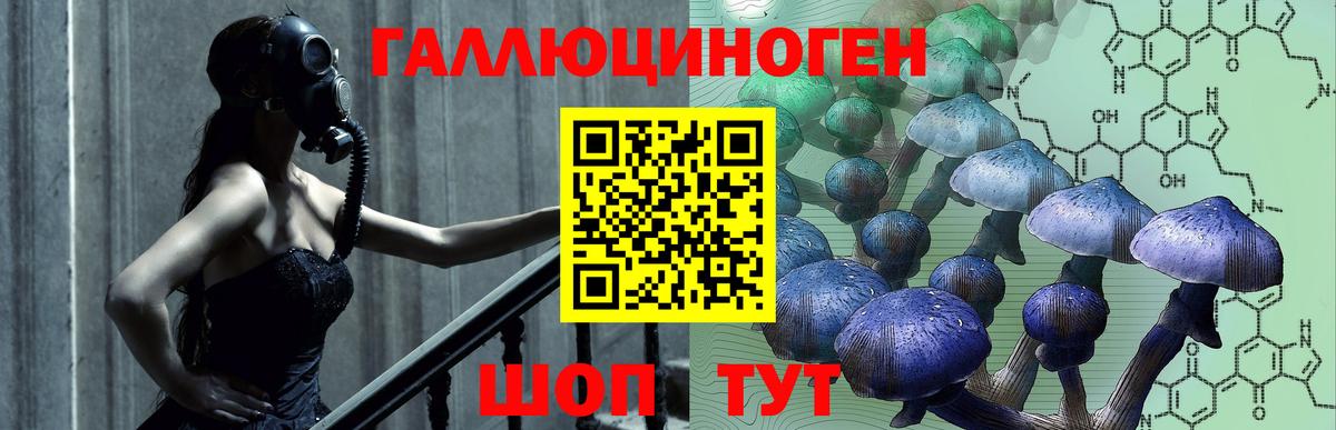 Псилоцибиновые грибы Magic Shrooms  Вход с VPN  Сибай 